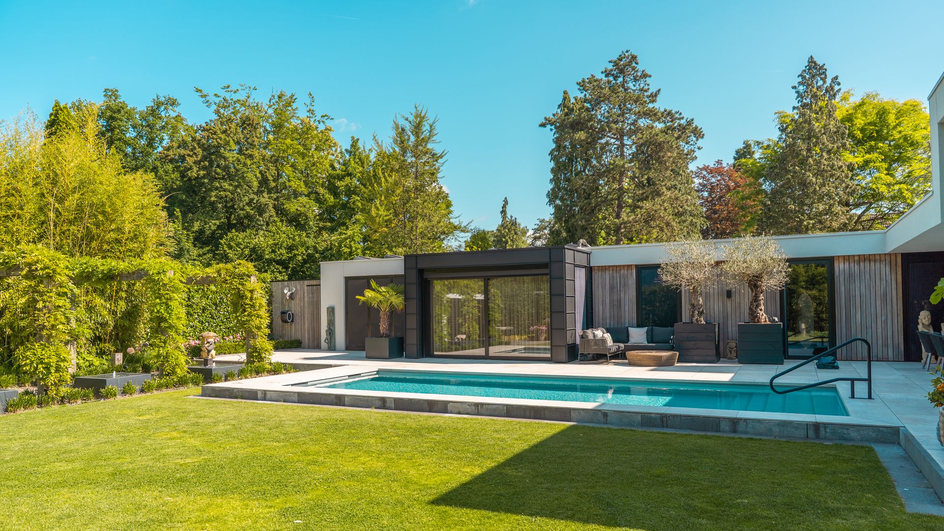 Clarico-Offer style 1